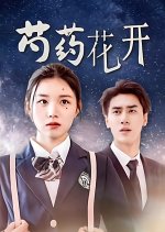 Shao Yao Hua Kai Chinese Drama(2024) photo