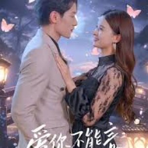 Love You without Words (2024)