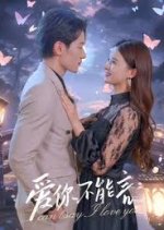 Love You without Words Chinese Drama(2024) photo