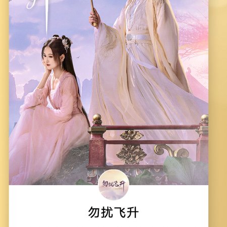 Flying up without Disturb (2025)