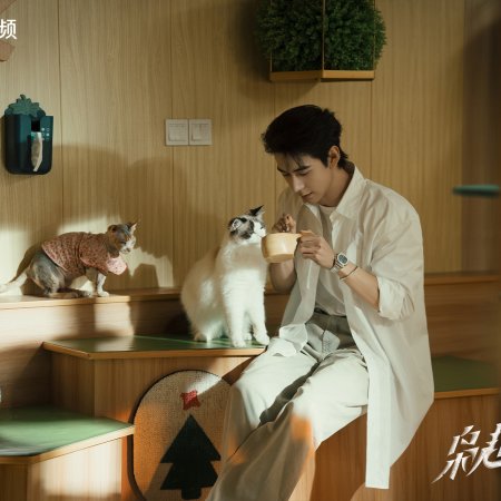 Love on the Turquoise Land (2025)