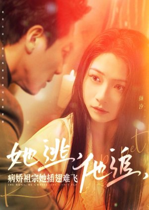 She Runs, He Chases, She Can't Fly poster