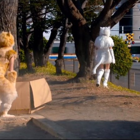 My Life as a Cat (2019)