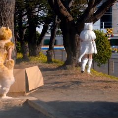 My Life as a Cat Japanese Movie photo