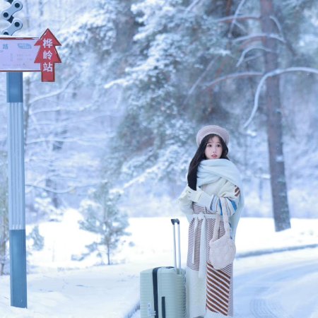 Ski into Love (2025)