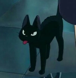 Jiji
