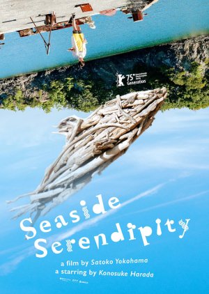 Seaside Serendipity (2025) poster