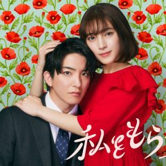 "Watashi wo Moratte": Koiji Hen Japanese Drama photo