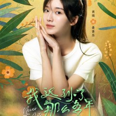 Never Too Late Chinese Drama photo