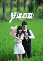 Fortune Awaits Chinese Drama photo