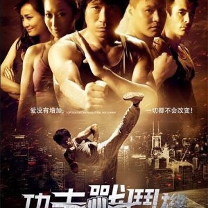 Kung Fu Fighter (2013)