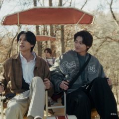 Contrast Japanese Drama(2026) photo