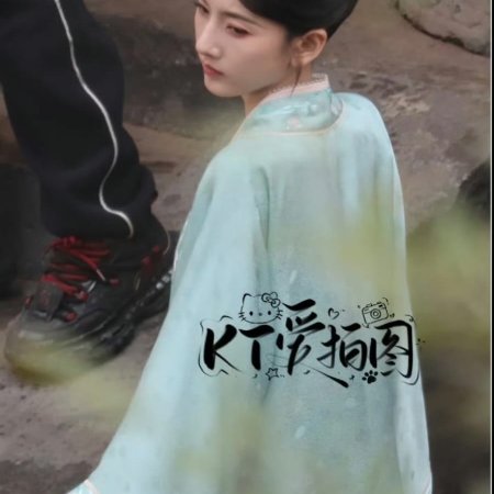 The Palace Stewardess ()