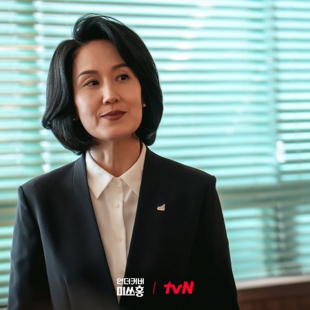 Undercover Miss Hong (2026)