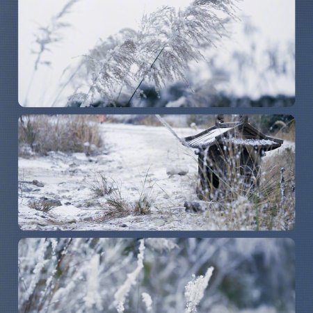 Pursuit of Jade (2026)