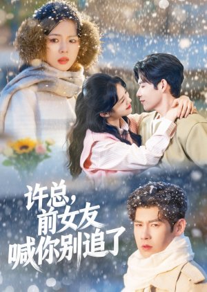 Xu Zong, Qian Nv You Han Ni Bie Zhui Le (2026) poster