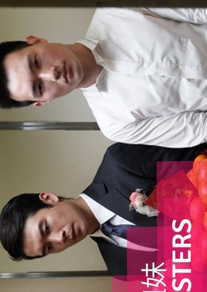 Sisters (2014) poster