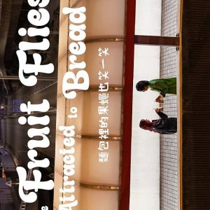 The Fruit Flies Attracted to Bread (2026)