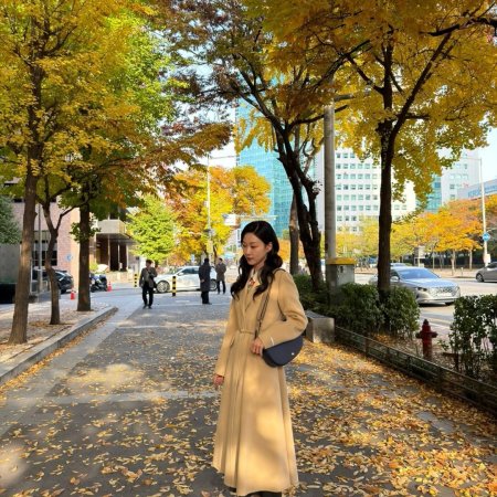 Undercover Miss Hong (2026)