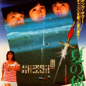 Summer Secrets (1982)