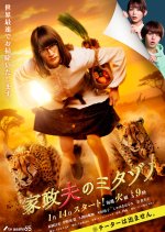 Kaseifu no Mitazono Season 7 Japanese Drama photo