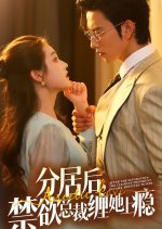 Obsession after Separation Chinese Drama photo