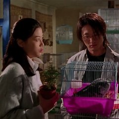 White Valentine Korean Movie photo