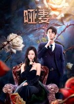 The Silent Wife Chinese Drama(2024) photo