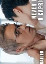 Never Date a Capricorn