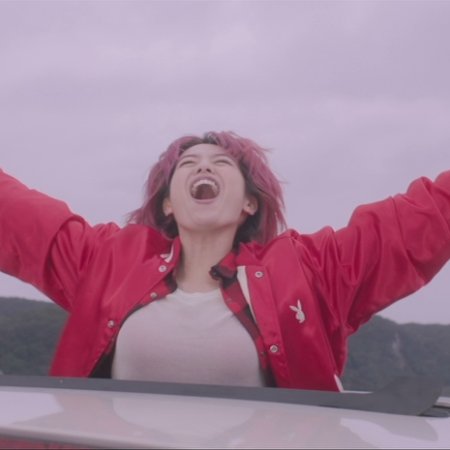 Perfect Revolution (2017)