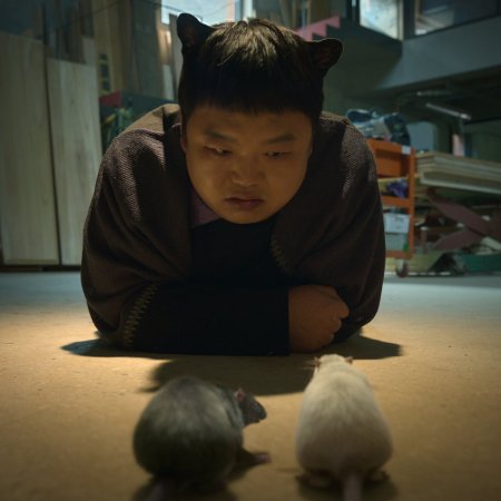 Genie, Make a Wish (2025)