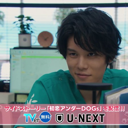 Love Is for the Dogs (2025)