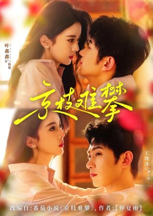 Jing Zhi Nan Pan (2025) poster