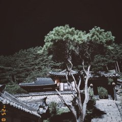 Scandal Korean Drama(2026) photo