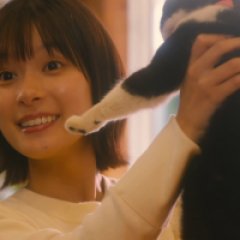 Copy That? Japanese Drama photo