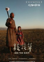 The Saxaul Chinese Drama photo