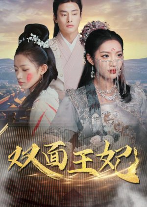 Shuang Mian Wang Fei (2024) poster