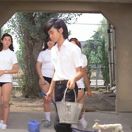 Love Is in the Green Wind (1974)