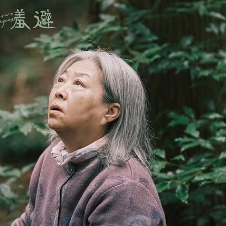 Life Story: Crown Shyness (2024)
