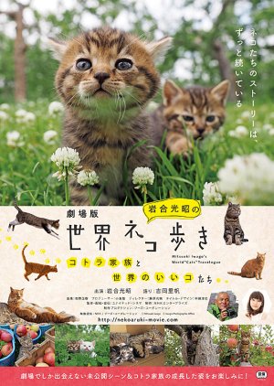 Mitsuaki Iwago's World "Cats" Travelogue (2017) poster