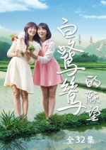 My Sister Taiwanese Drama(2016) photo