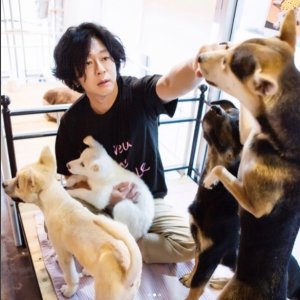 Kamisama no Boto  (2013)