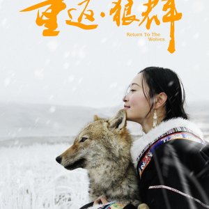 Return to the Wolves (2017)