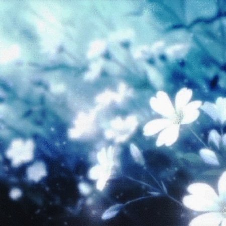 Kamisama no Boto  (2013)