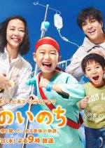 Boku no Inochi Japanese Drama photo