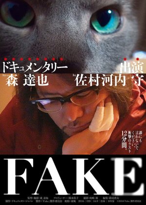 Fake (2016) poster