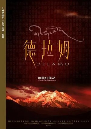 Tea-Horse Road Series: Delamu (2005) poster