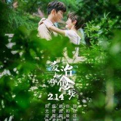 From Survivor to Healer Chinese Drama photo