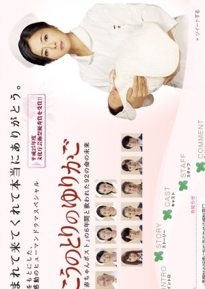 The Stork Nest (2013) poster