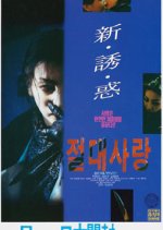 Absolute Love Korean Movie photo